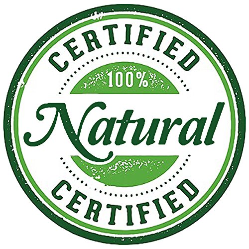 Bath Bomb Gift Set USA - 6 Vegan Essential Oil Natural Fun Fizzies Spa Kit. Organic Shea/Cocoa Soothe Dry Skin. Luxury Gift for Valentine, Women, Mom, Teen Girl, Birthdays. Add to Tub Tea or Baskets