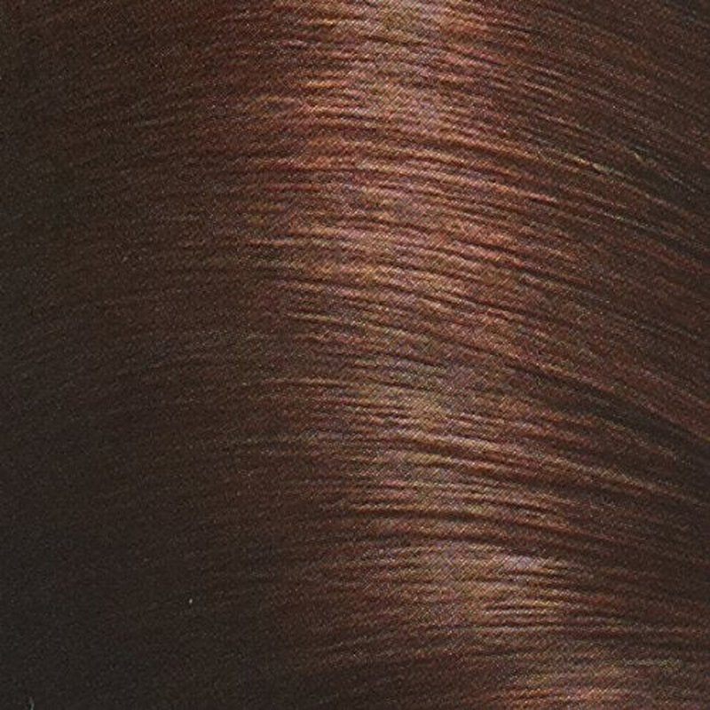 John Frieda Precision Foam Colour, Dark Chocolate Brown 4BG, Full-Coverage Hair Color Kit, Anti-Fade Gray Coverage, Deep Color Saturation Hair Dye, 1 Application