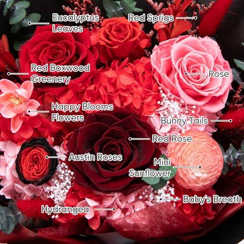 Red Preserved Flower Bouquet Large - Forever Fresh Rose Gift for Women & Special Occasions