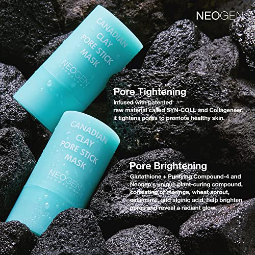 Canadian Clay Pore Stick Mask for Enlarged Pores & Blackheads - 28g