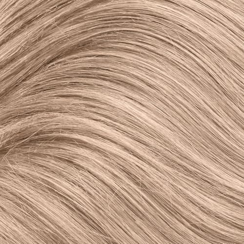 ion HL B Hi Lift Ash Blonde Permanent Liquid Hair Color
