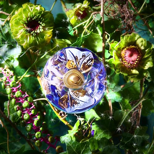 Lolita Lempicka Le Parfum Eau De Parfum Spray 0.5 Fl Oz for Women - Licorice, Violet, Anise - Sample Size
