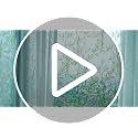 Privacy Window Film Leaf Rainbow 157.4"L x 45.27"W No Glue Anti-UV Decor - Leaf Rainbow / 157.4"L x 45.27"W