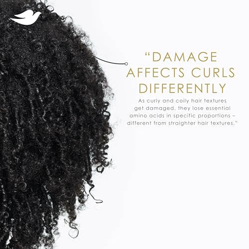 Dove Curl Cream Amino Curl for Curly, Coily Hair with Bio-Protein Care Technology + Amino Complex 8 Fl Oz