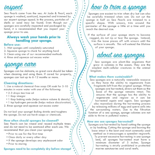 Natural Reusable Sea Sponges - Medium, 2 Pack for Gentle Cleansing