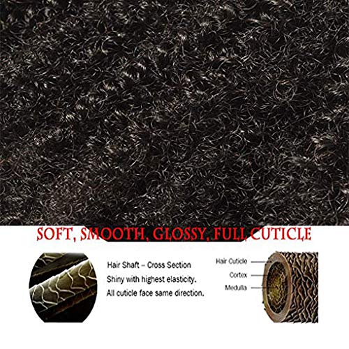 Clip In Human Hair Extensions Afro Kinky Curly 8 Inch Natural Black 4B 4C - 1 Pack