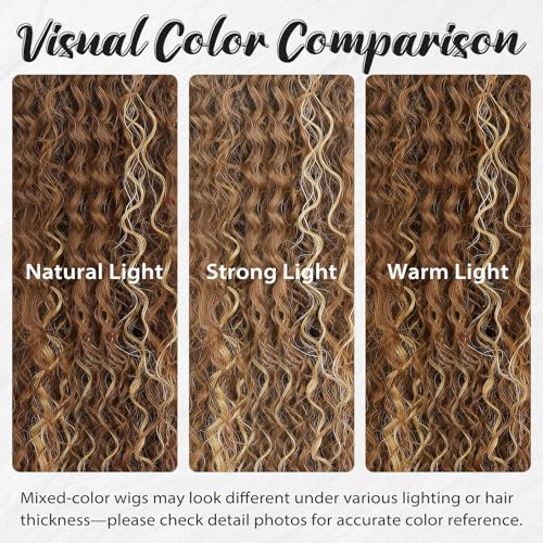Synthetic Lace Front Wig 24 Inch Curly Ombre Brown Blonde with Variation of Same Ombre with Highlights