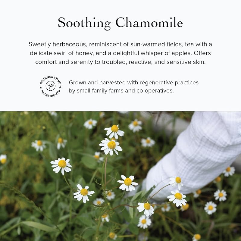 Rosehip Calming Serum Facial Oil for Sensitive Skin