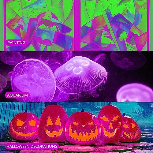 300W Black Light Flood Light 2 Pack IP66 Waterproof Neon Party & Halloween