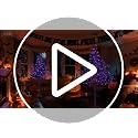 6FT Purple Halloween Willow Tree with 200 LED Lights Indoor Outdoor Decor