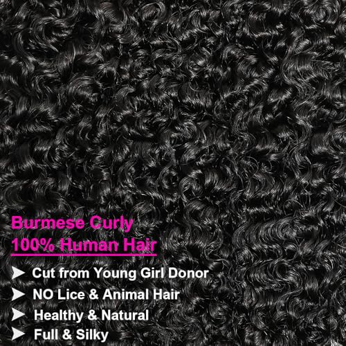14 Inch Burmese Curly Human Hair Bundles - Natural Black, 100% Unprocessed, Spiral Curls, 97g - Variation of THIS listing