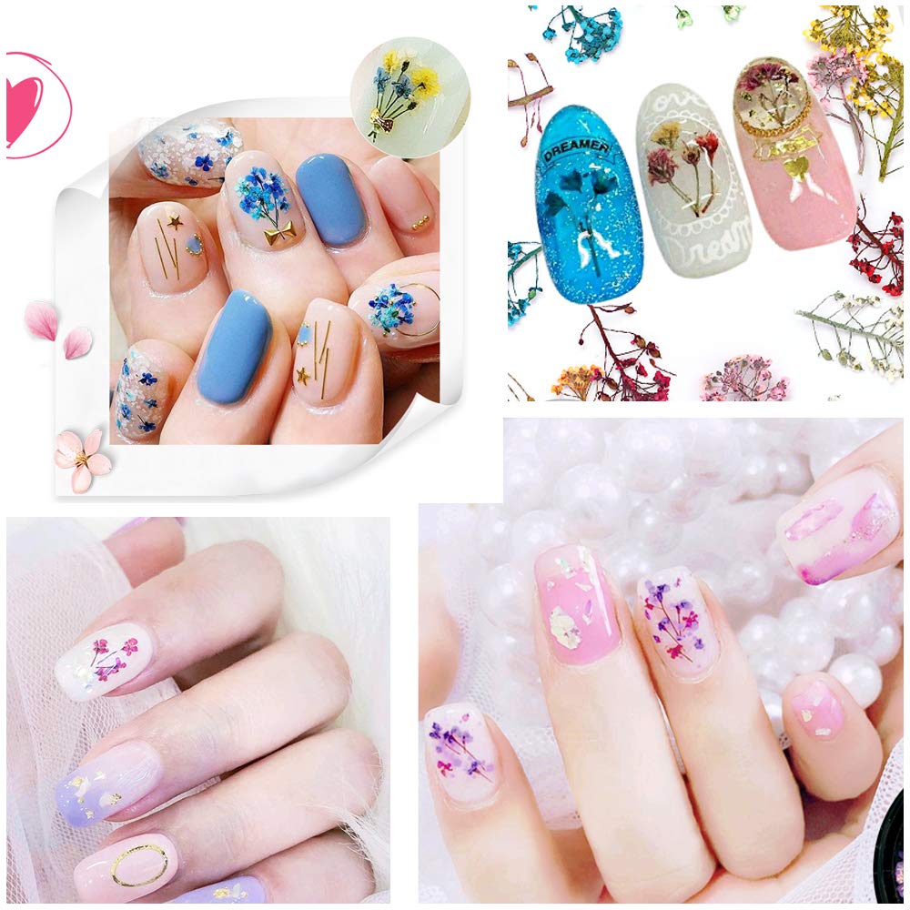 Mini Dried Flowers for Resin Craft & Nail Art - 6 Box Set (260+ Pieces)
