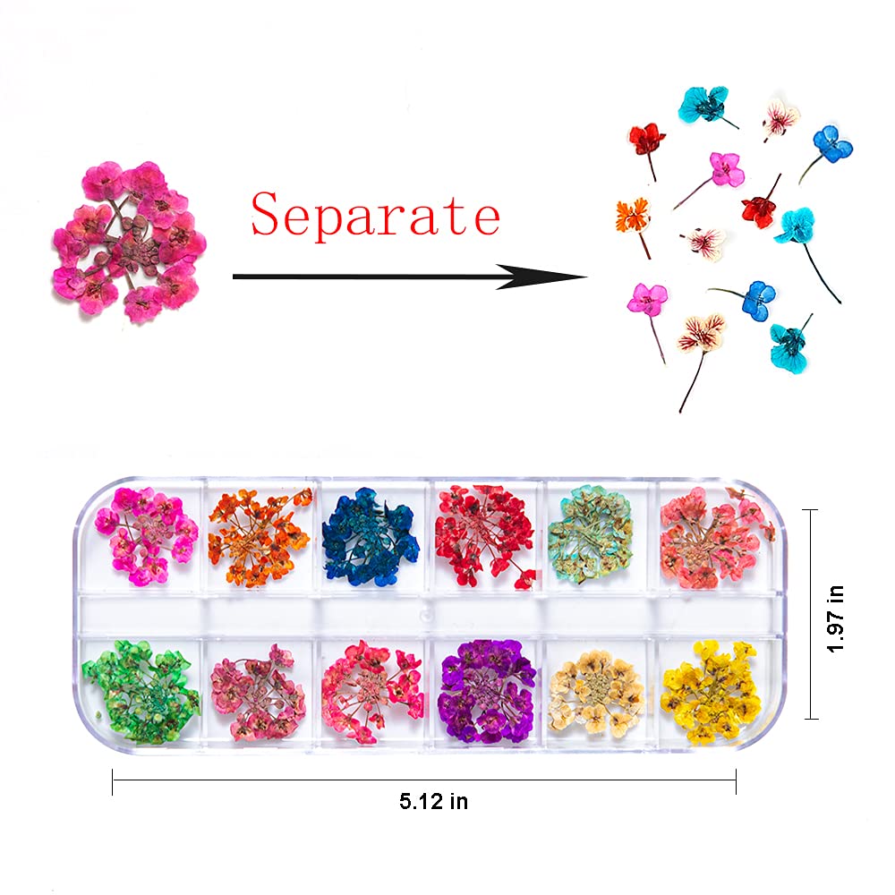 Mini Dried Flowers for Resin Craft & Nail Art - 6 Box Set (260+ Pieces)