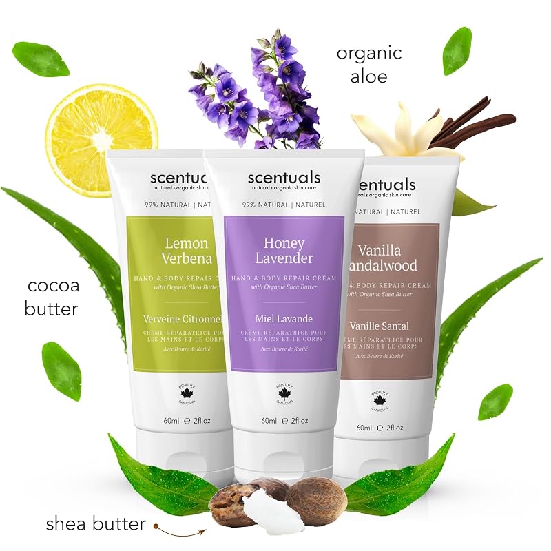 Hand Cream Trio with Shea Butter | Lemon Verbena, Honey Lavender & Vanilla Sandalwood — 60 ml Each