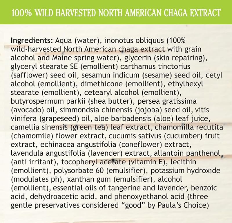 My Berry Maine Chaga Face & Body Moisturizer - Natural Lightweight Lotion, 4 oz
