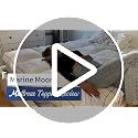 Queen Cooling Plush Mattress Topper with Pillow Top - White, 3-Inch Thick