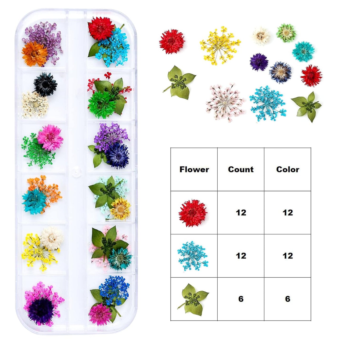 Mini Dried Flowers for Resin Craft & Nail Art - 6 Box Set (260+ Pieces)
