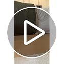 Heavy Duty Couch Support Board 35x72in - Anti-Slip Sofa Cushion Support for Sagging Cushions - Foldable Extra Wide Support