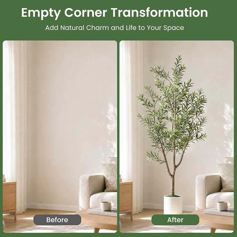 MCTYBB 6ft Olive Trees Artificial Indoor with White Planter - Triple-Trunk