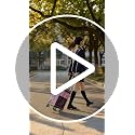 Reusable Grocery Bags on Wheels - Rolling Tote Bag, Black - Durable & Spacious