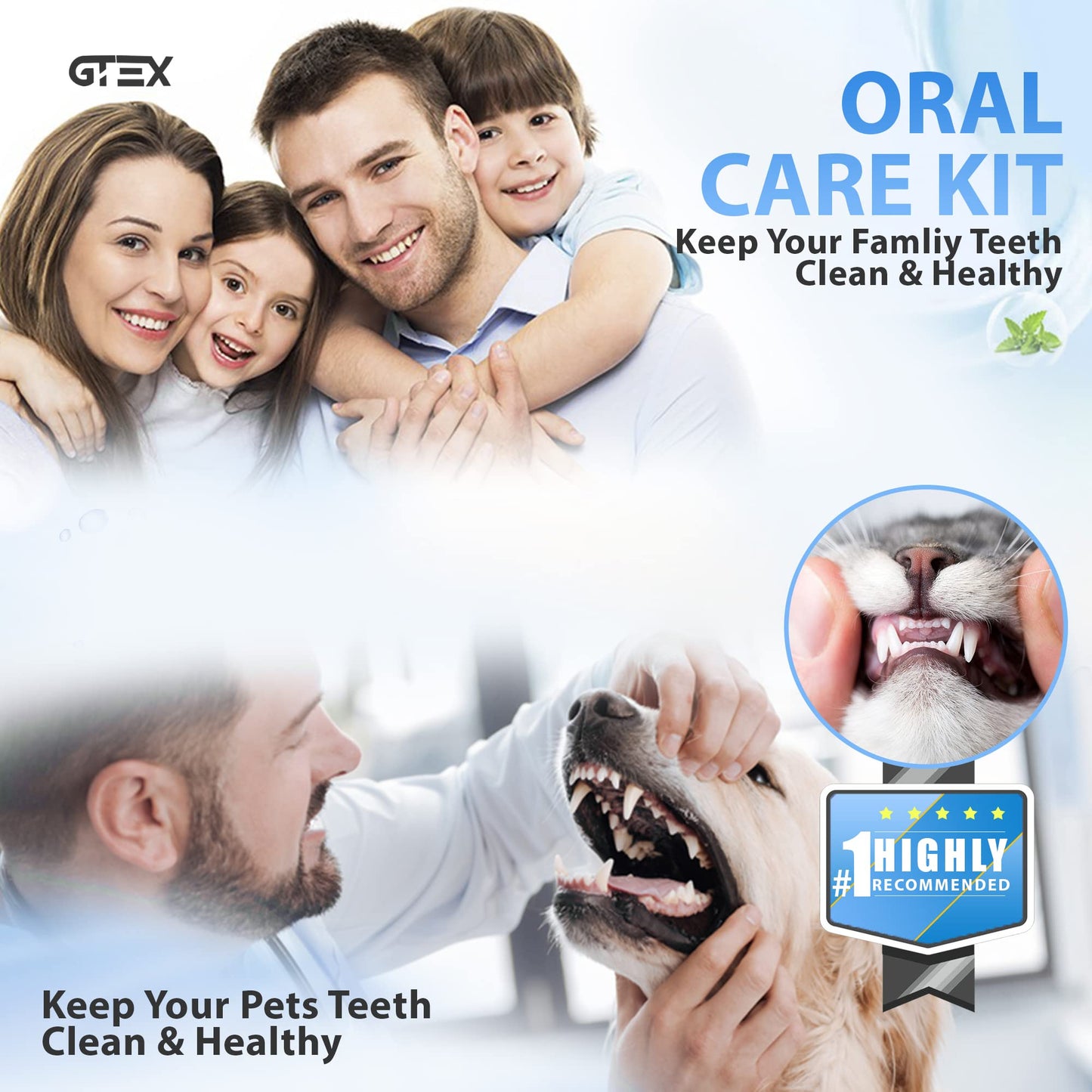 Dental Tools Made from Japanese Steel - Dental Pick - Dental Picks for Teeth Cleaning - Dental Kit with Leather Wallet