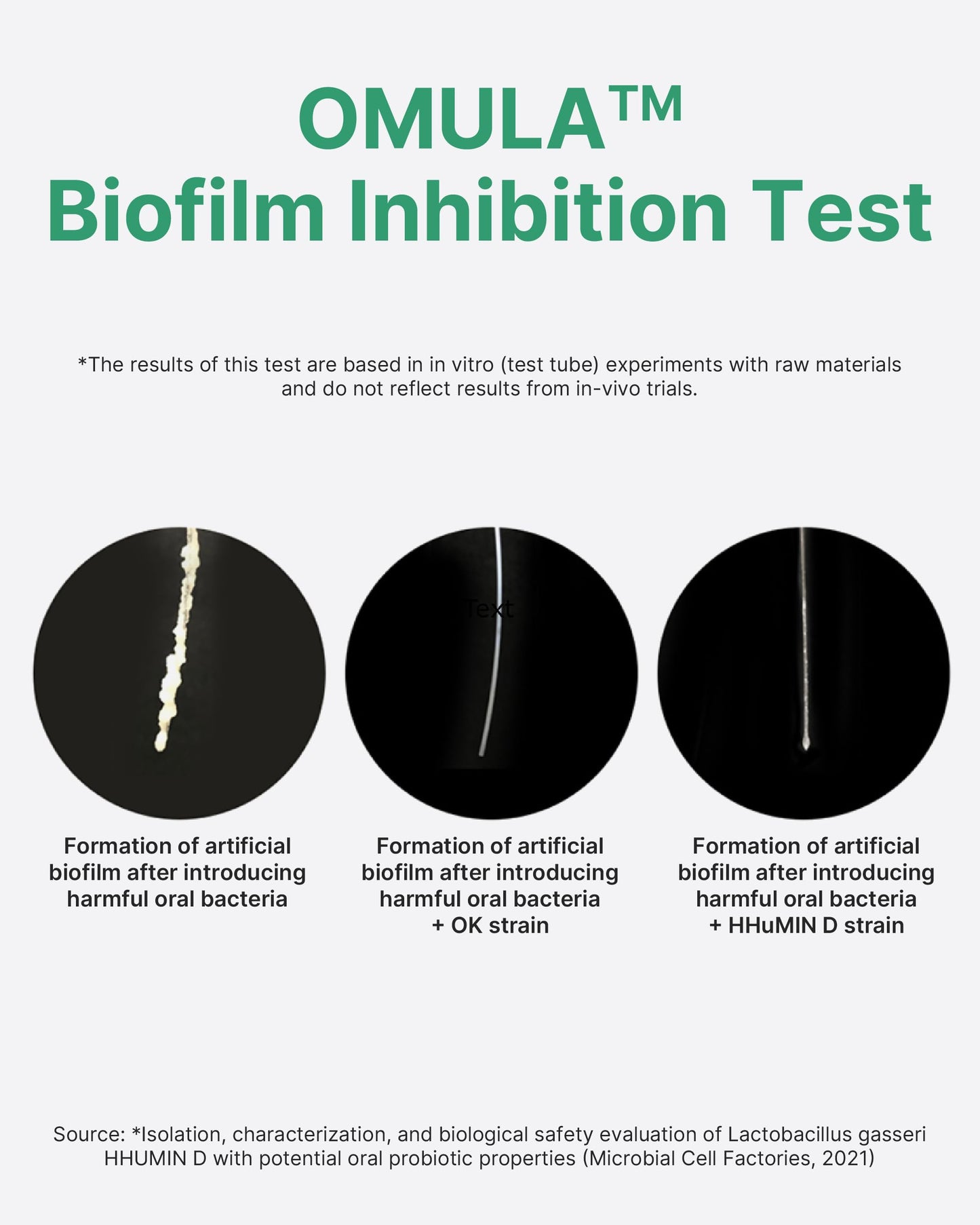 K-Nutra Dentifresh Xylitol Tabs - Oral Probiotics to Combat Bad Breath, Dry Mouth & Support Fresh Breath, 4 Billion CFU, Sugar-Free, Mint Flavor, 30 Tablets