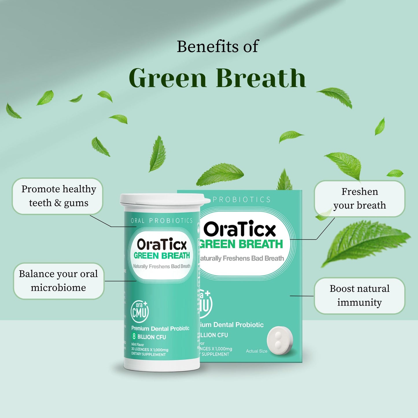 OraTicx Green Breath Oral Care Probiotics, Naturally Support Freshens Bad Breath & Healthy Mouth, Dental Probiotic Supplement 8 Billion CFU, Mint Flavor 30 Lozenges 1-PK
