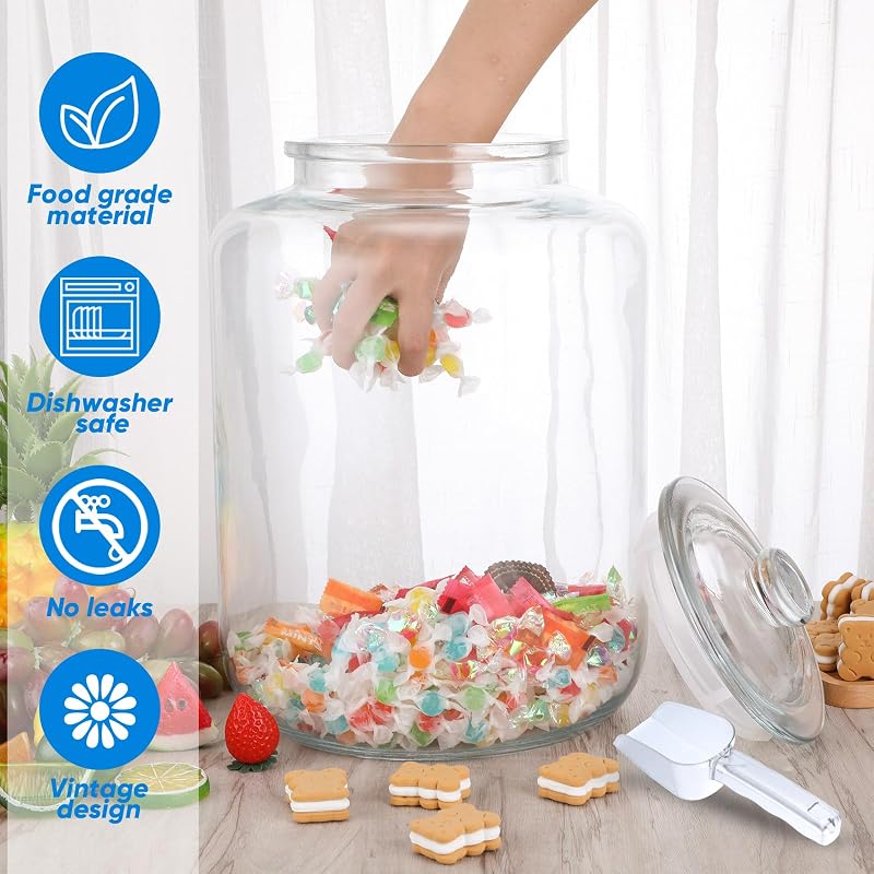 6 Gallon Glass Jar with Lid – Large Wide-Mouth Airtight Food Storage Canister for Flour, Sugar, Cookies