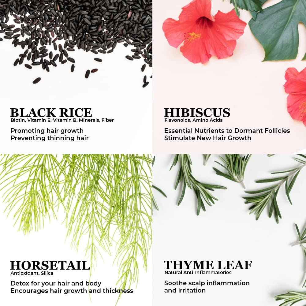 PERFECX - Black Rice Hair Oil 2 fl oz - for Scalp Treatment - 48 hours Herbal Infused Ayurvedic Natural Ingredients - Hair Strengthening and Growth Promotion