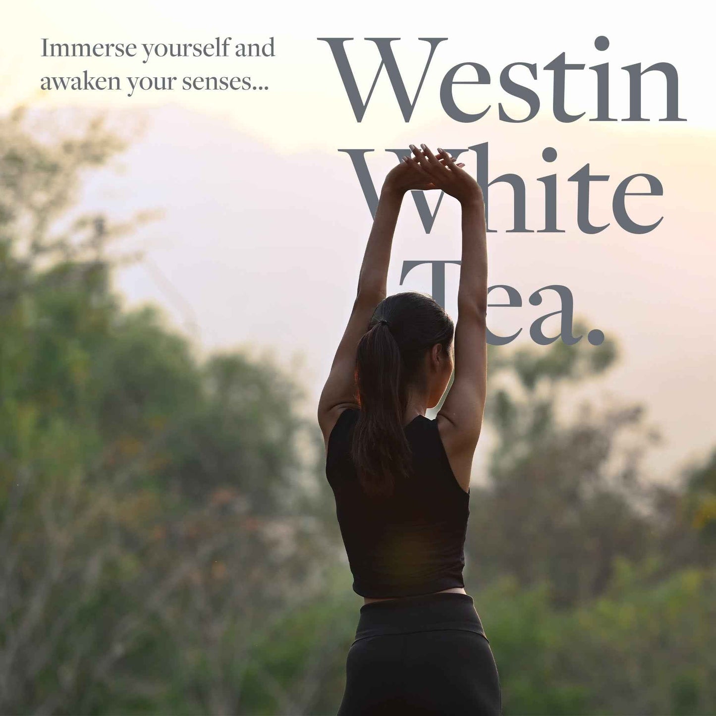 Westin White Tea Liquid Hand Soap - Signature White Tea Fragrance Combined With Aloe - Aromatherapy - Luxury Hotel Spa Collection - 8oz