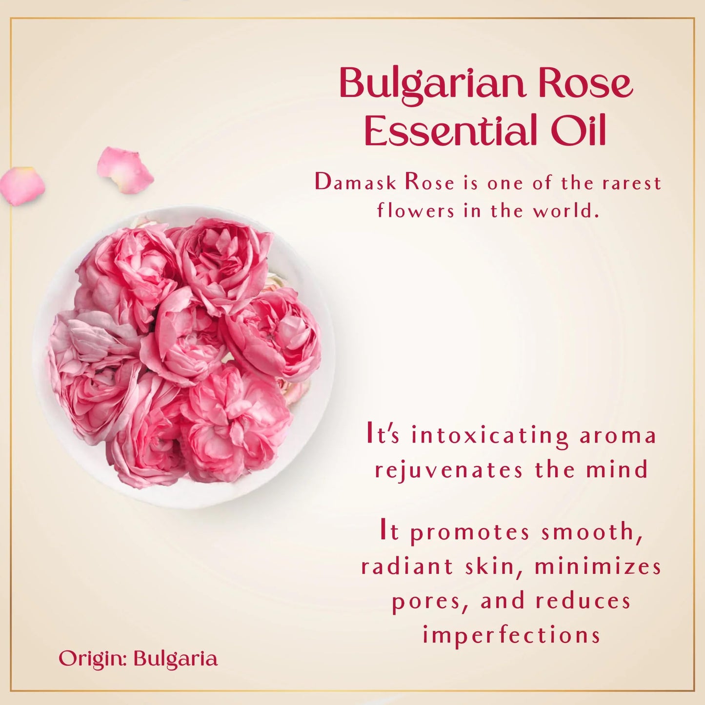 SAFA Organic Rose Essential Oil for Face, Hair, Body & Nails | Bulgarian Rose After Shower Body Oil for Women | Pure Scented Hair Oil & Skin Moisturizer – 1 Fl Oz