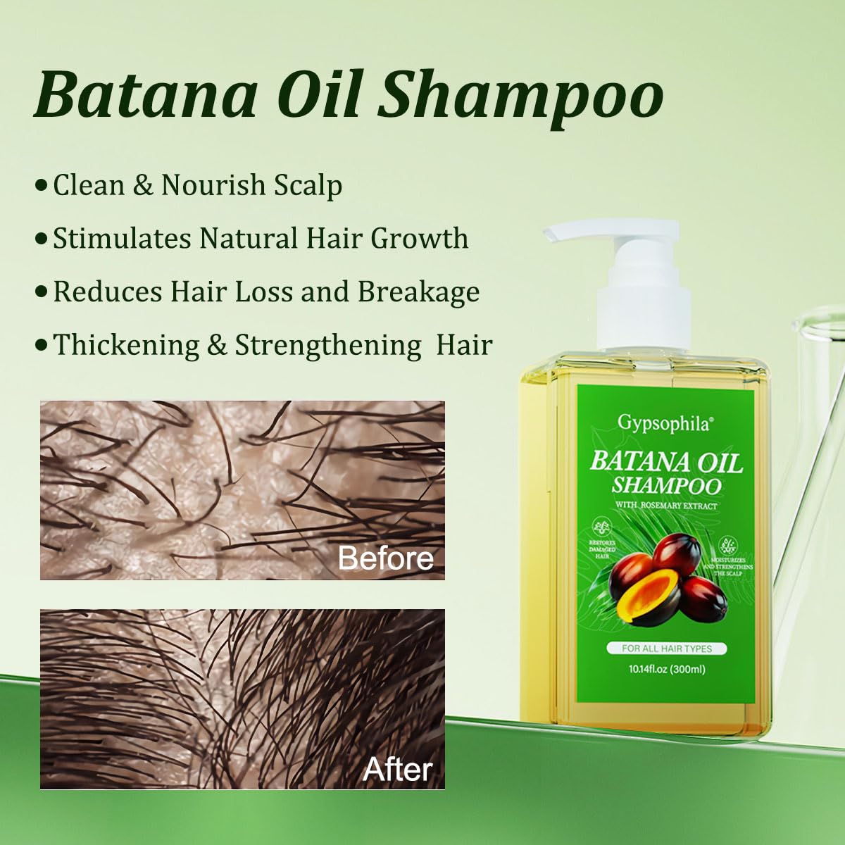 Gypsophila 2 Pack Batana Oil Shampoo for Hair Growth, Rosemary Shampoo – Nourishing & Rejuvenating for Softness & Volume, Suitable for Men & Women, Reduces Hair Loss