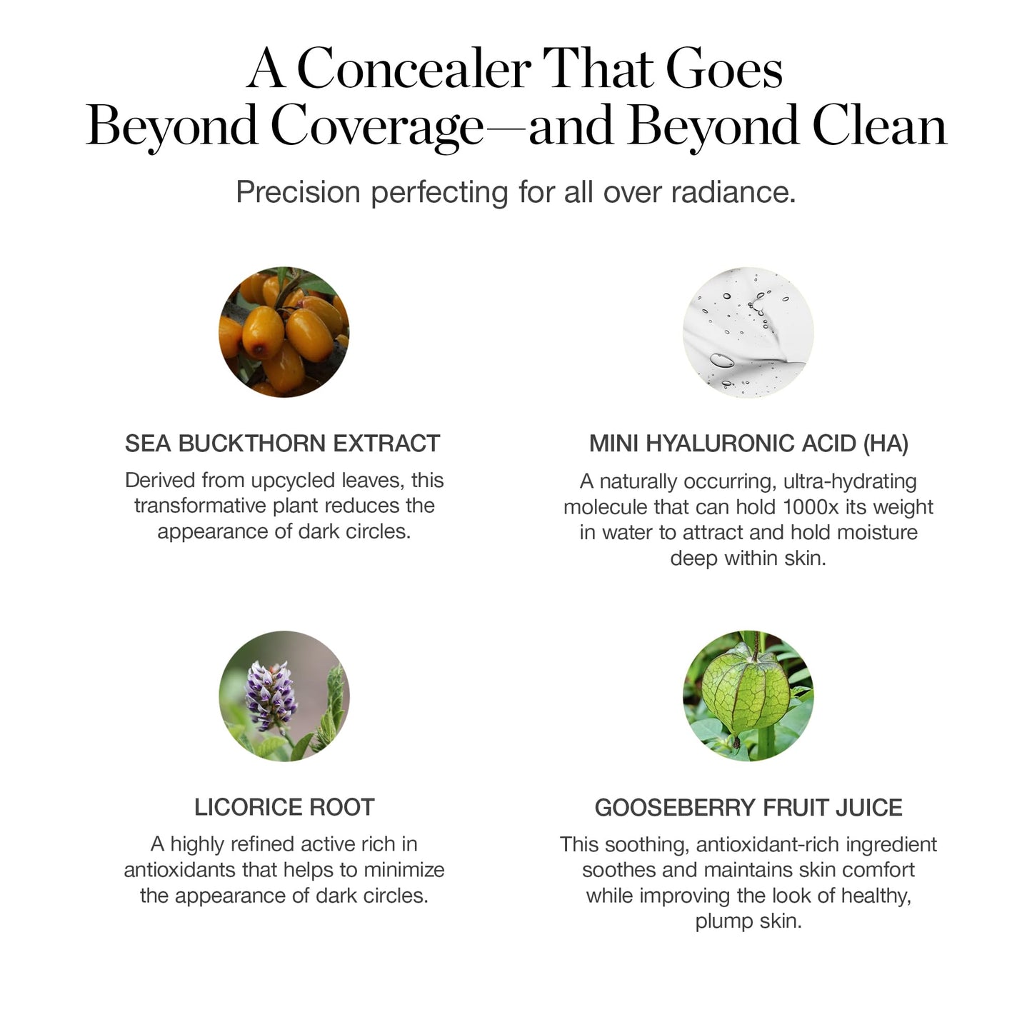 Ogee Complexion Perfecting Under Eye Concealer - Certified Organic Full Coverage Concealer - Buildable Coverage - BALSAM 5.25W - Medium Tan (Warm Undertones)