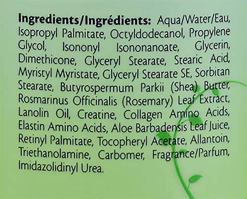 Vitabath Original Spring Green Everyday Skincare Set Moisturizing Shower Gel Wash, Reviving Lotion & Exfoliating Body Scrubber Pouf - Intoxicating Foam Cleanser & Dry Skin Hydration for Women & Men