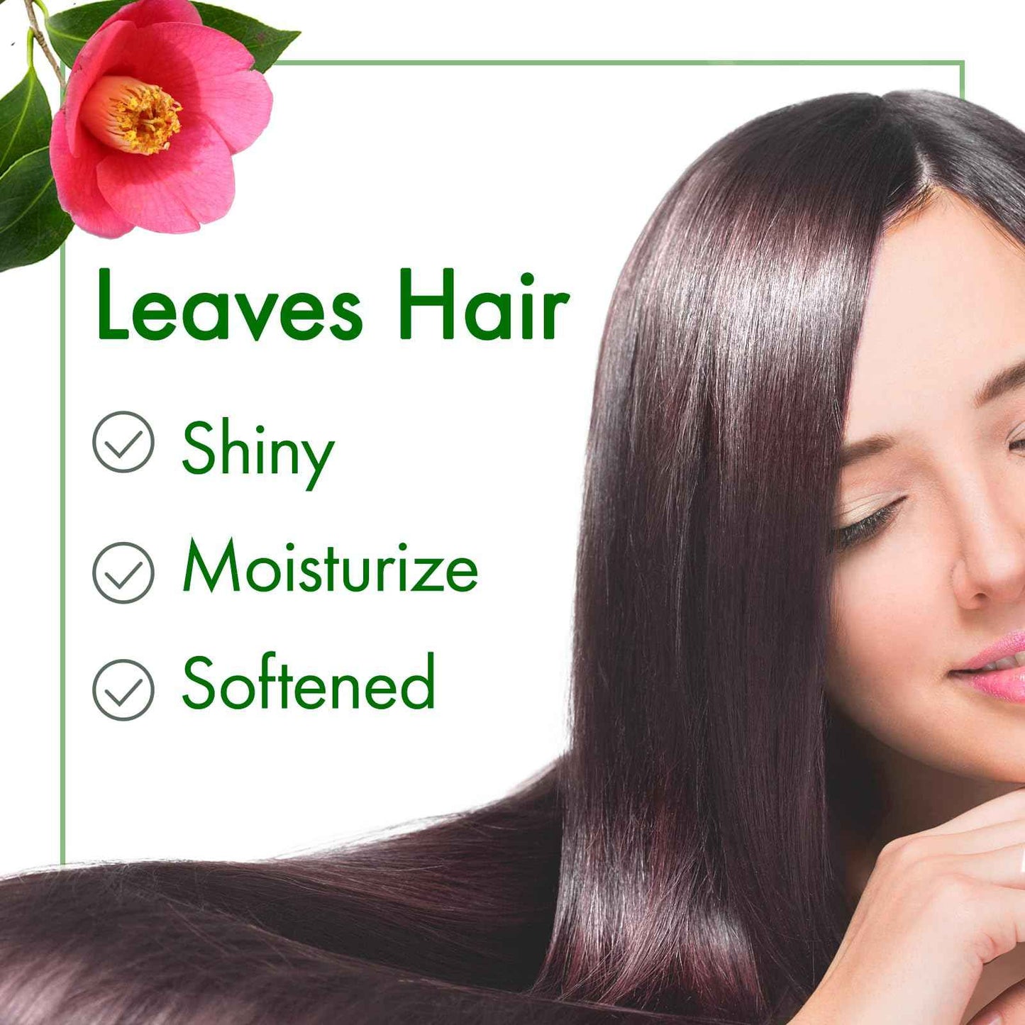 Oshima Tsubaki Camellia seed Oil - English Packaging for US - 100% Pure and Natural, Plant-Based, Single-Ingredient, Moisturizing for Hair, Face, Skin, and Nails, Japanese Beauty - 2.03 fl oz (60ml)