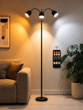 Ultra-Warm 1700K 3-Head Floor Lamp with Remote, 80.7” Tall, Stepless Dimming & Memory