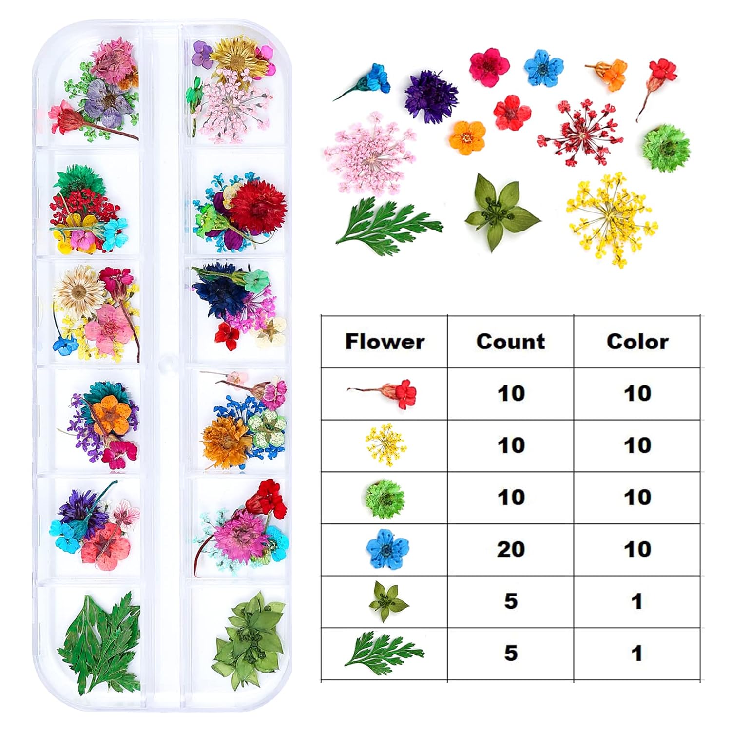 Mini Dried Flowers for Resin Craft & Nail Art - 6 Box Set (260+ Pieces)