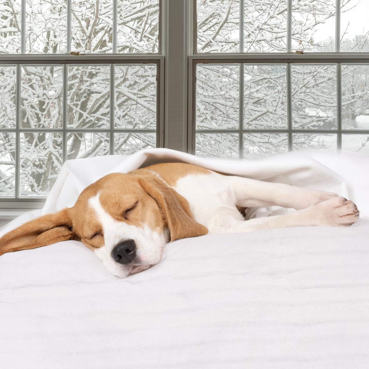 HOMGX Massage Table Warmer, Electric Heated Mattress Pad Bed Warmer w/Overheat Protection & 3 Heat Settings, Machine Washable Spa Table Heating Pad for Home and Office