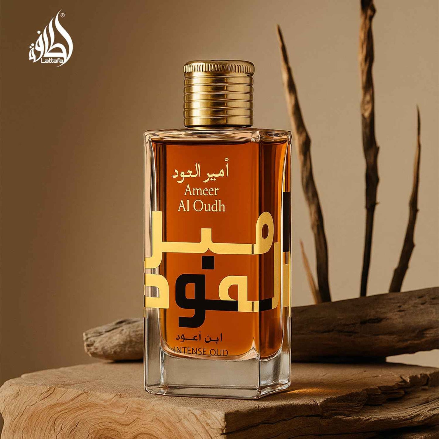Lattafa Ameer Al Oud Intense Oud for Unisex Eau de Parfum Spray, 3.4 Ounce
