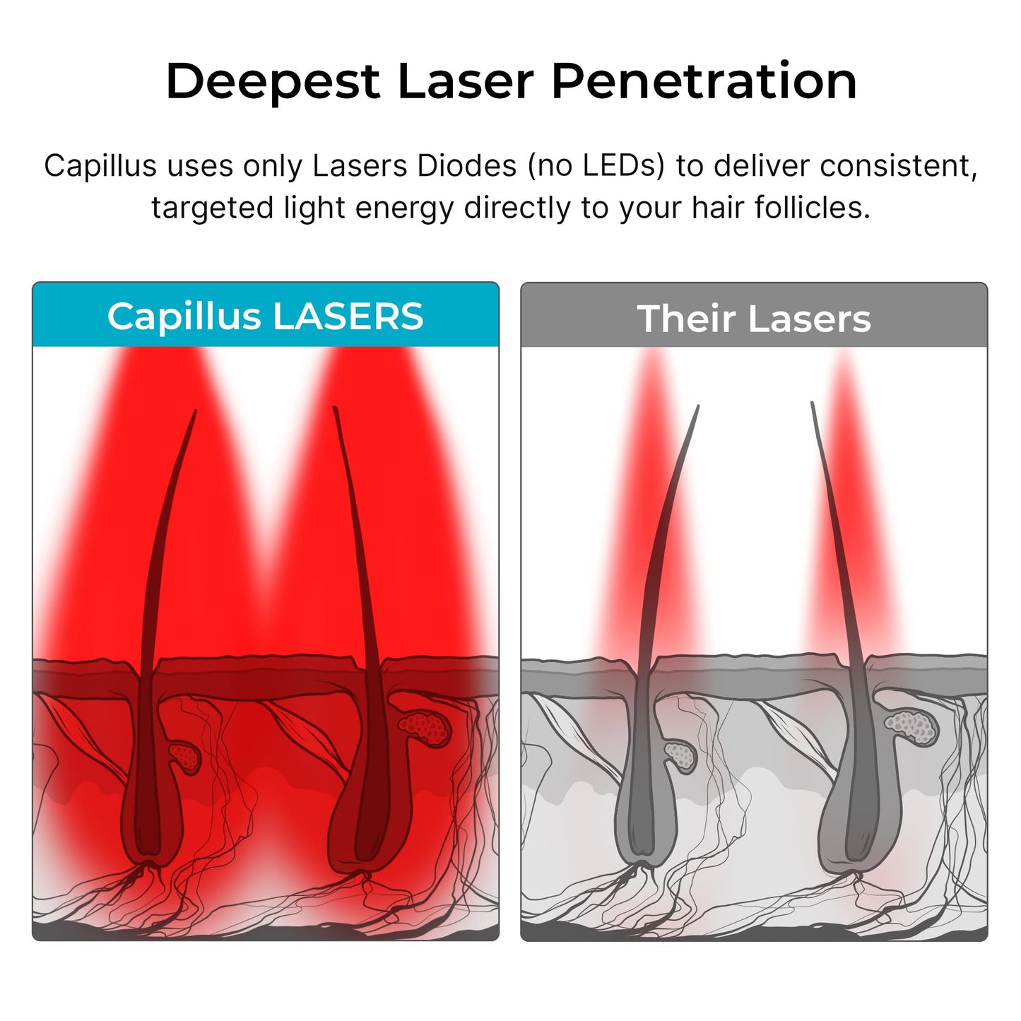 Capillus SPECTRUM Red Light Therapy for Hair Growth Hair Red Light Therapy Red Light Cap for Hair Regrowth, 312 Laser Cap for Hair Regrowth Red Light Hair Therapy Laser Hair Growth Cap +Bluetooth App