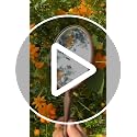 Walnut Wood Hand Mirror for Makeup & Grooming - Multi-Purpose Portable Mirror