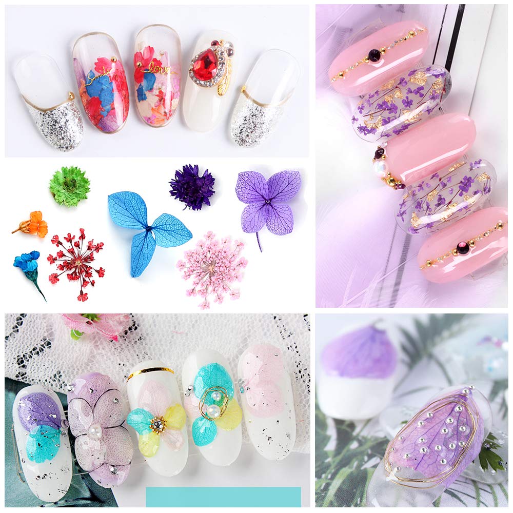 Mini Dried Flowers for Resin Craft & Nail Art - 6 Box Set (260+ Pieces)