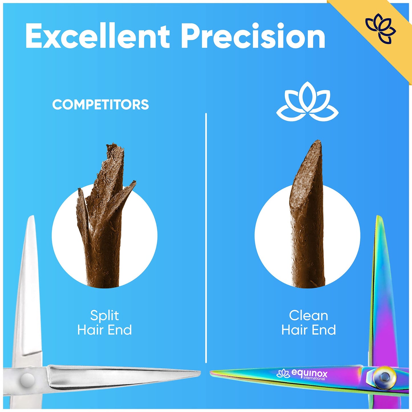 Equinox Razor Edge Series Professional Hair Scissors - 6.5” Premium Japanese Stainless Steel Hair Cutting Scissors, Hair Shears, Hair Razors for Hair Cutting, Barber Accessories & Hair Salon Supplies