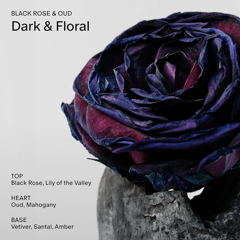 Salt & Stone Body Mist + Body Lotion Bundle Black Rose & Oud