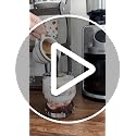 Electric Burr Coffee Grinder with Dual Dosing & 51 Settings for Espresso & Pour Over