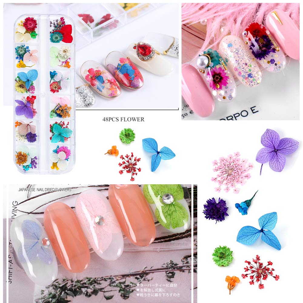 Mini Dried Flowers for Resin Craft & Nail Art - 6 Box Set (260+ Pieces)