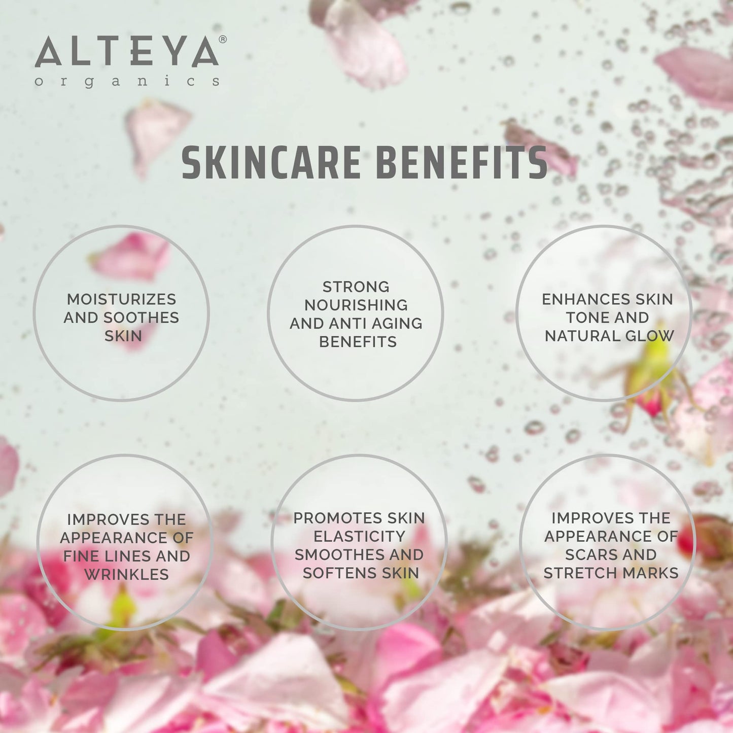 Alteya USDA Organic Bulgarian Rose Oil Rosa Damascena Otto Multi-Use Essential Oil Blend Excellent for Aromatherapy, Fragrance, Skincare and Massage Therapy 10mL