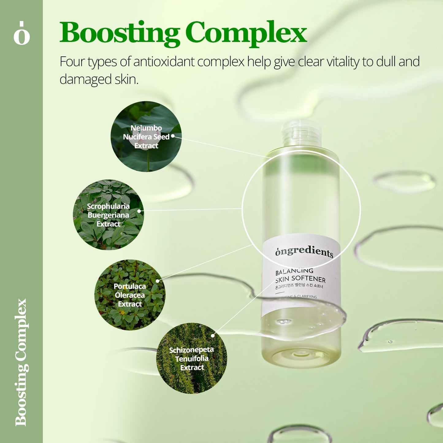 ONGREDIENTS Balancing Skin Softener | Trouble Care Facial Toner | Panthenol, Hyaluronic Acid, Heartleaf, Hydrating Balance Care for Dry, Sensitive Skin | Vegan, Korean Skin Care 250ml / 8.45 fl Oz