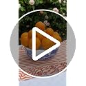 Blue Italian Square Serving Bowl - 9.5-inch Porcelain Tableware