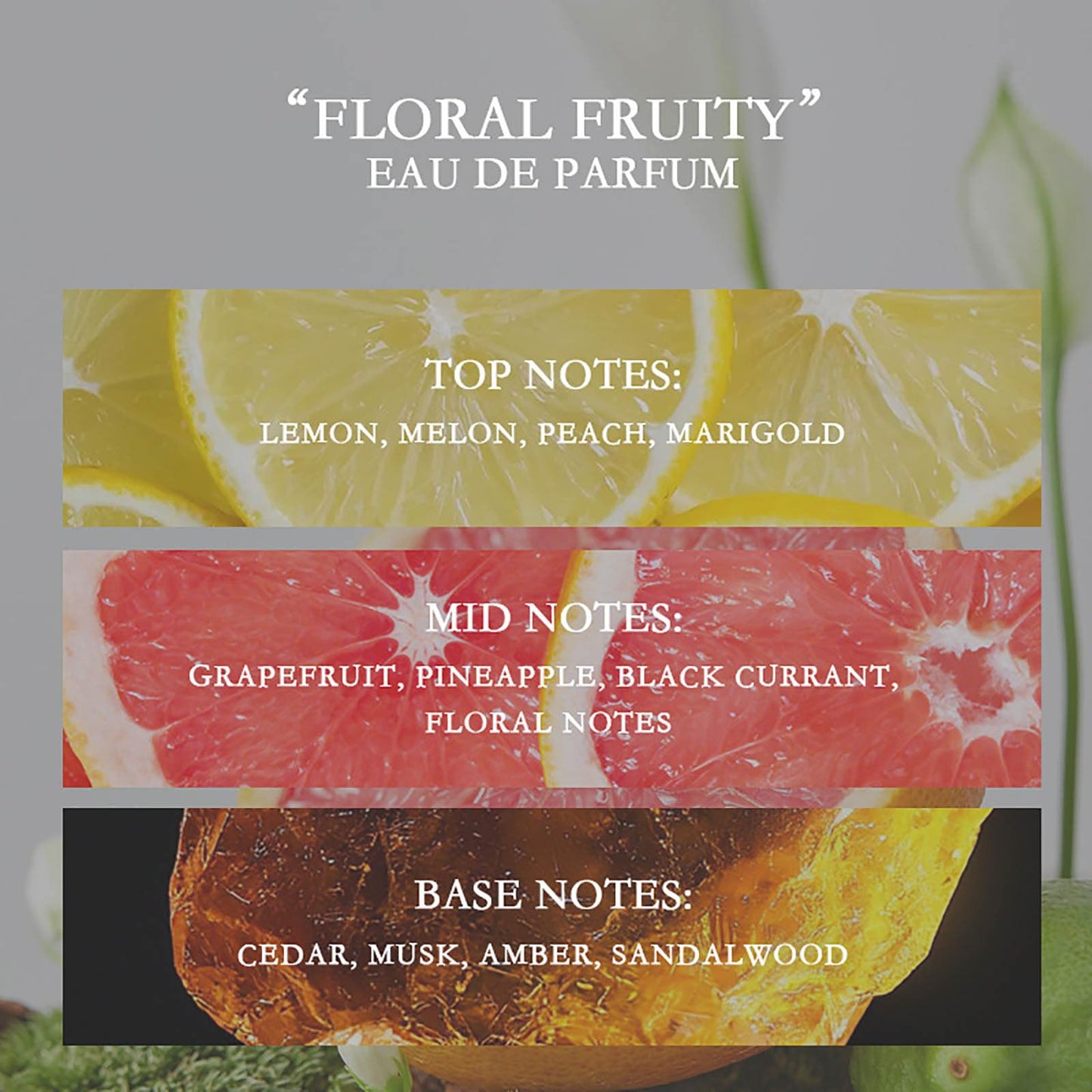 Grapefruit Perfume For Women Fresh And Long Lasting Perfume 50ml